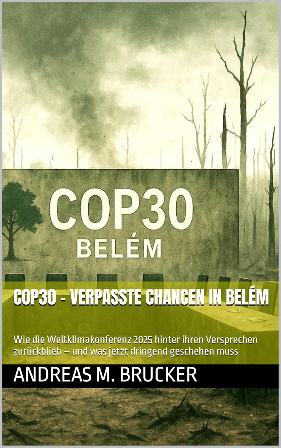 Cover COP30 - Verpasste Chancen in Belém